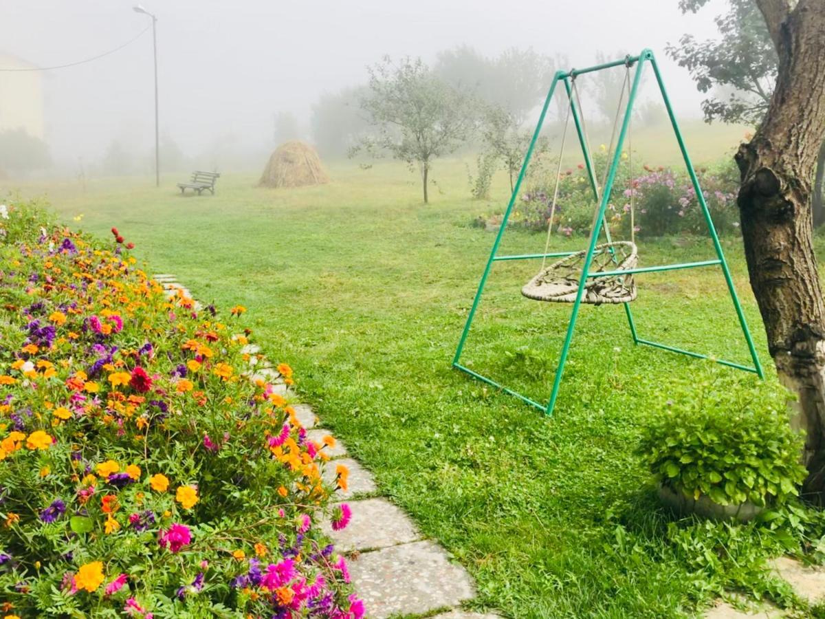 Mikheil Pitskhelauri Guest House Stepancminda Zewnętrze zdjęcie