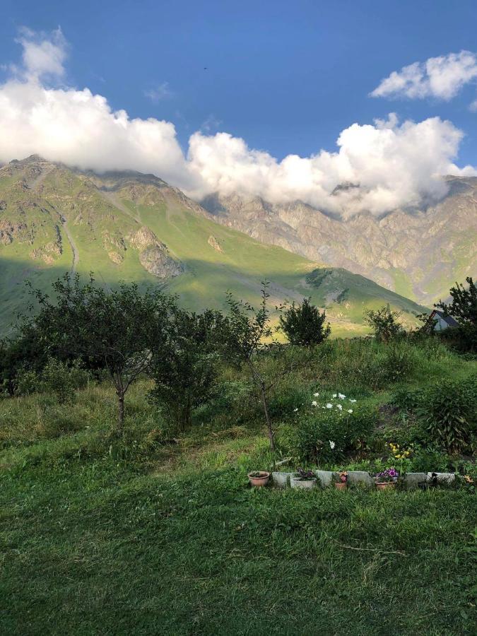 Mikheil Pitskhelauri Guest House Stepancminda Zewnętrze zdjęcie